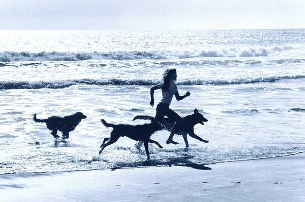 Keeping Your Dog s Paw s Clean in the times of Corona Virus TrueBlue Pets