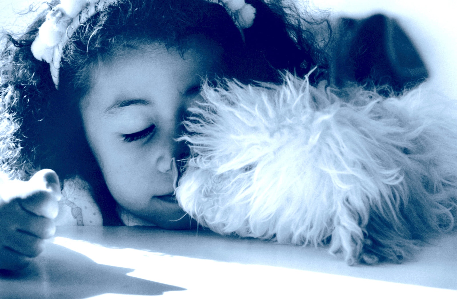 Does my dog need conditioner ?