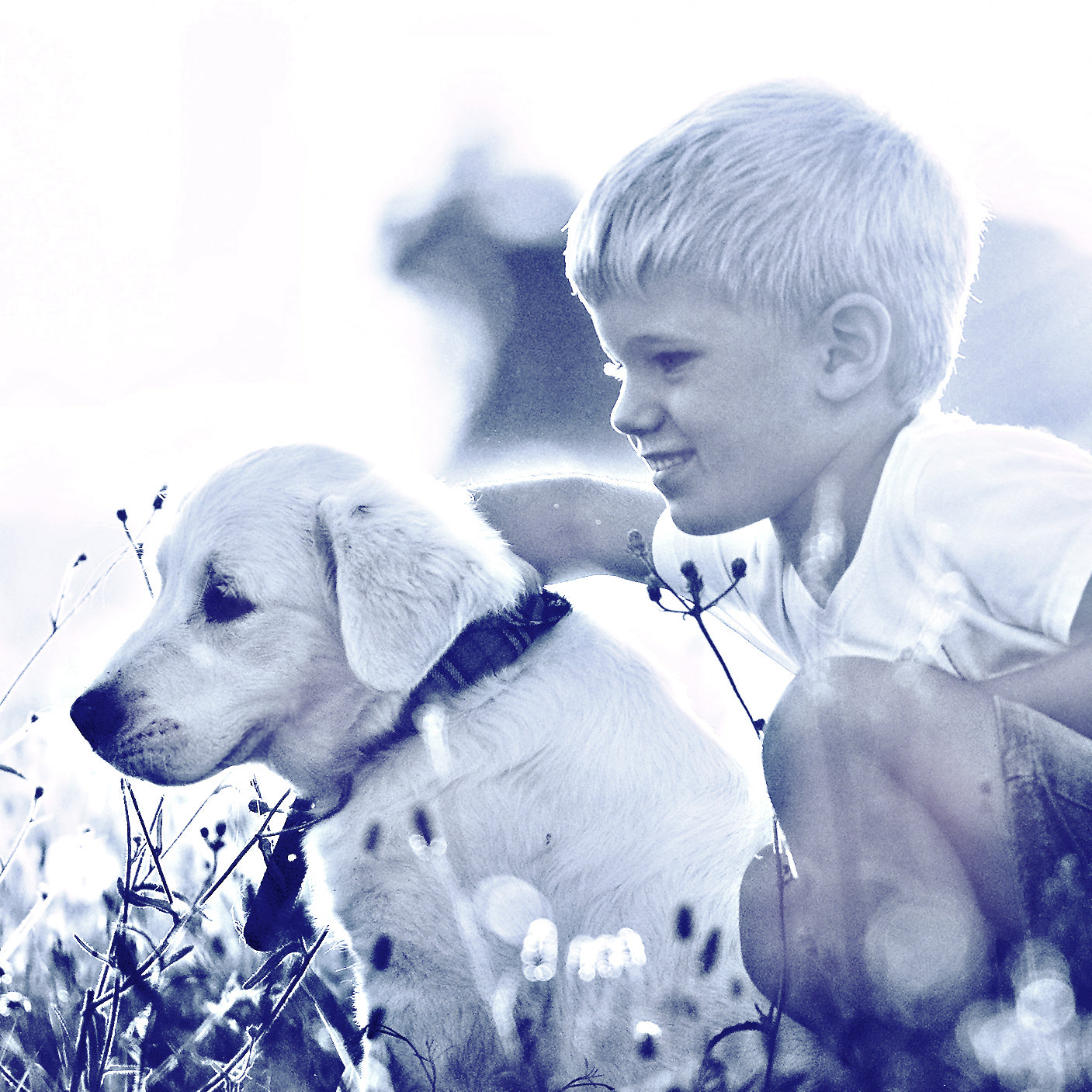 How often can I bathe my dog?