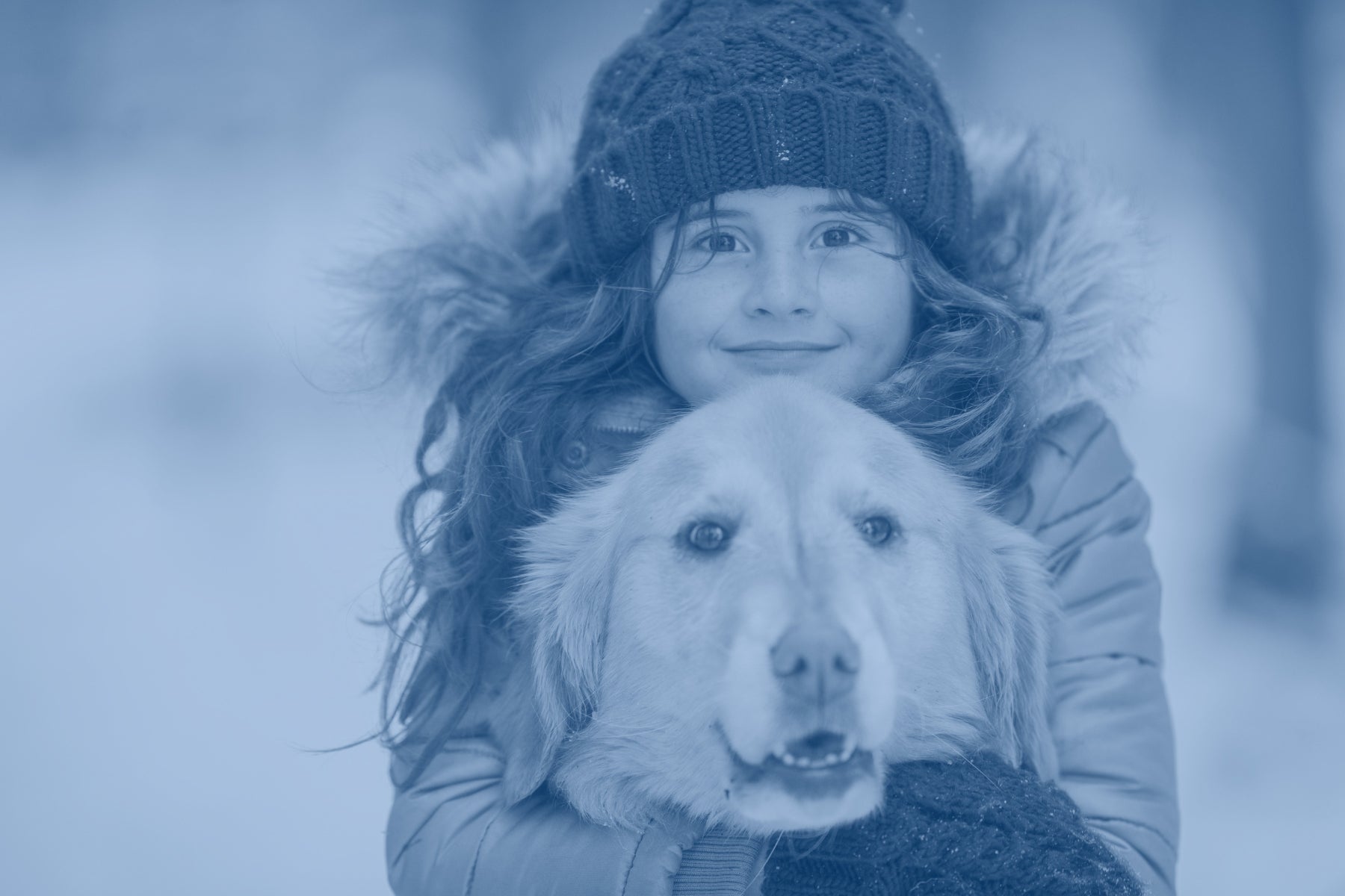 Winter Safety Tips for Pets: Keeping Your Best Friend Safe and Happy