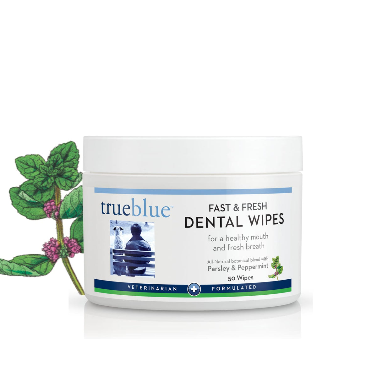 Fast &amp; Fresh Dental Wipes